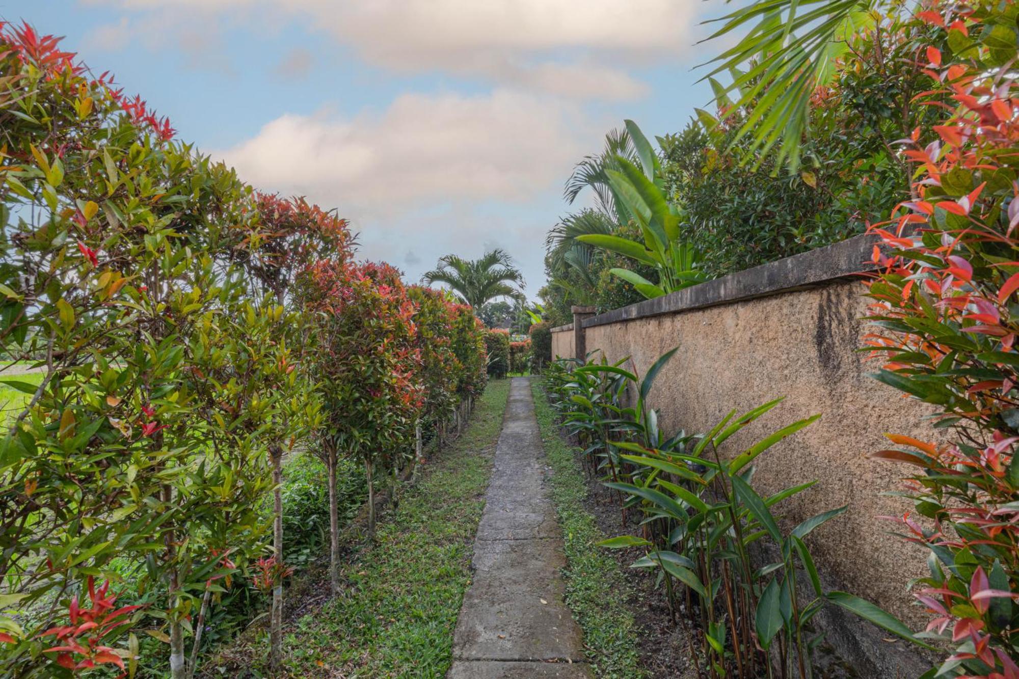 אובוד Niluh Private Villas מראה חיצוני תמונה